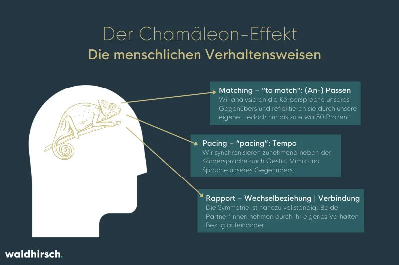 Grafik zu den menschlichen Verhaltensweisen beim Chamaeleon-Effekt