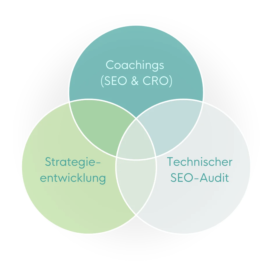 Bestandteile des SEO-Projektes mit Optonic