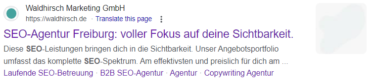 Organisches Suchergebnis zur Waldhirsch Marketing GmbH Website.